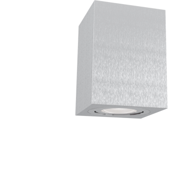 Потолочный светильник MAYTONI ALFA C017CL-01S