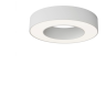 Потолочный светильник MAYTONI LUA C093CL-24W4K-W